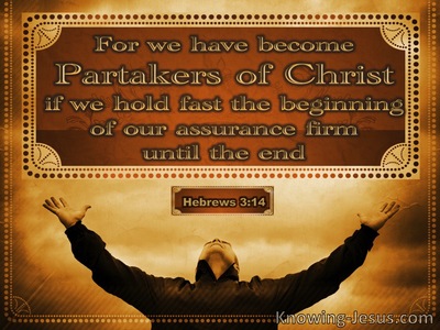 Hebrews 3:14  We Are Partakers Of Christ (brown)